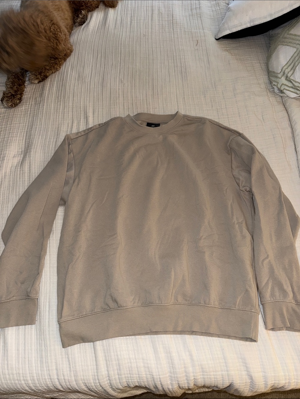 H&M Men's Crewneck Sweater in Light Beige